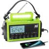 Green-LCD Display