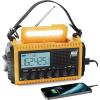 Yellow-LCD Display