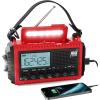 Red-LCD Display